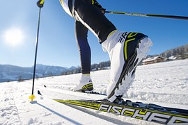 cross-country-skiing-624246__180