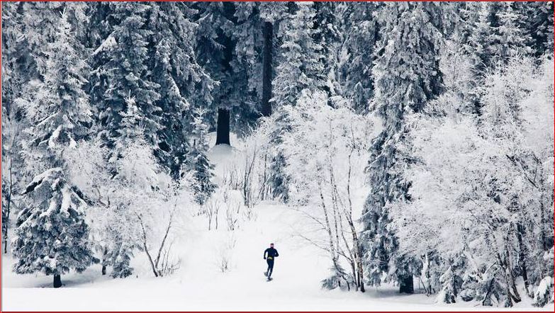 Truger med Ingrid Kristiansen i skogen